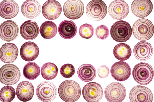 sliced red onions set isolated on white background,top view.