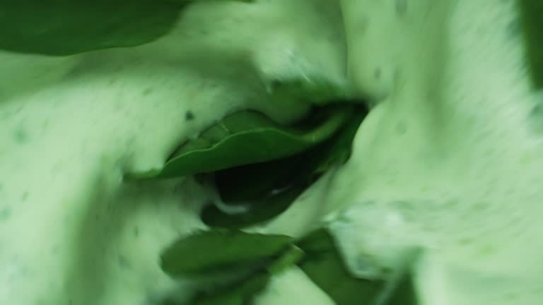 Mixing a Spinach Smoothie in a Blender