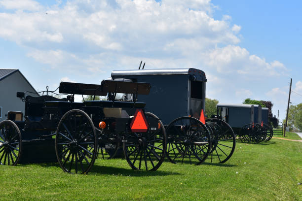 istock Amish Buggies in Rural Lancaster County Pennsylvania 1293654534