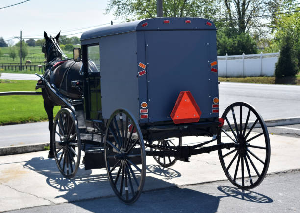 istock Amish Buggies in Rural Lancaster County Pennsylvania 1293654541