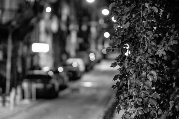 istock STREET AT NIGHT 1293654627