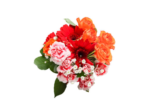 istock various kind of flowers in a white background 1293654717
