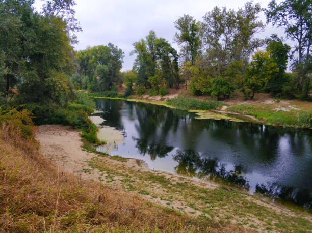 istock Natural landscape. A pond in a quiet secluded location 1293654756