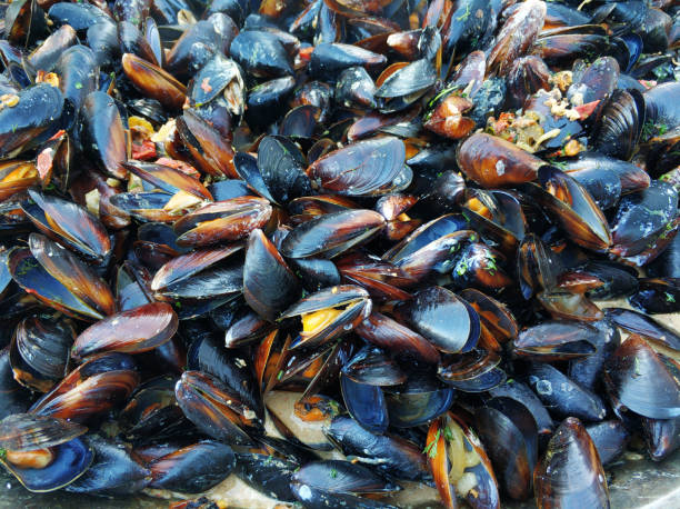 istock Cooking rice with seafood. Mussel shells are boiled in a vat 1293654810