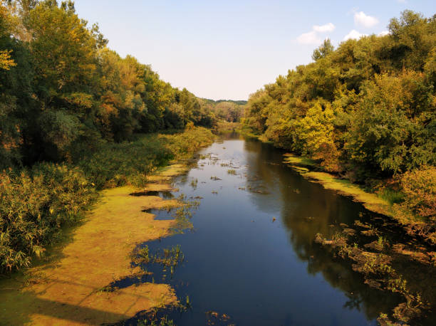 istock Natural landscape. A pond in a quiet secluded location 1293654818