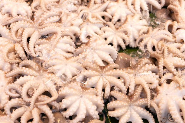 Little octopus on a banana leaf at the seafood counter.