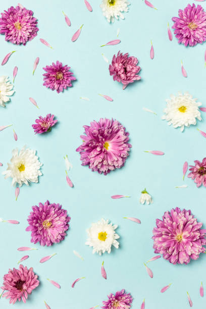 istock Pattern made of colorful flowers on pastel blue background 1293658453
