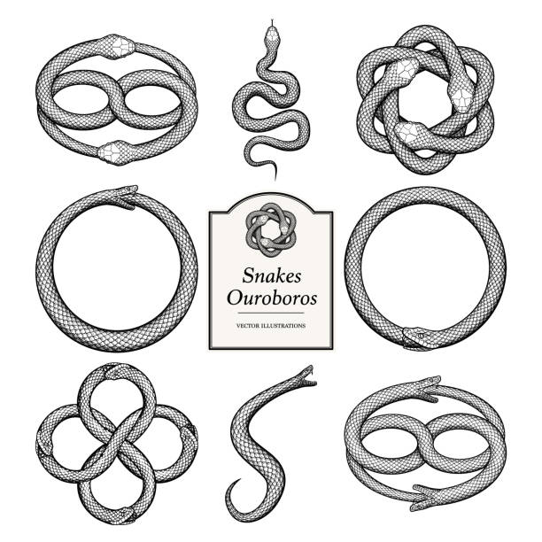 snake ouroboros ilustracje - snake stock illustrations