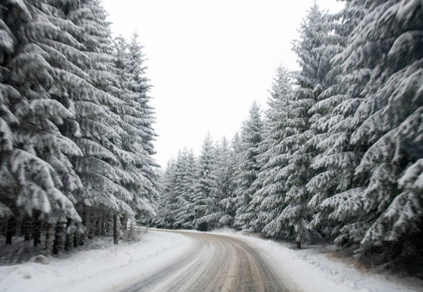 冬の滑らかな道 - car winter road reflector snow ストックフォトと画像