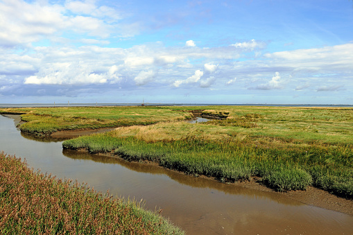 Wadden Sea and dyke foreland near Harlesiel on the North Sea coast