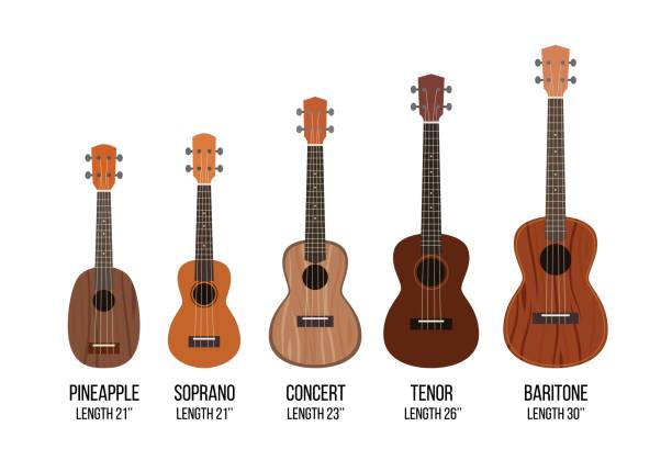 ukulele isoliert auf weiß, verschiedene größen von musikinstrument - uke stock-grafiken, -clipart, -cartoons und -symbole