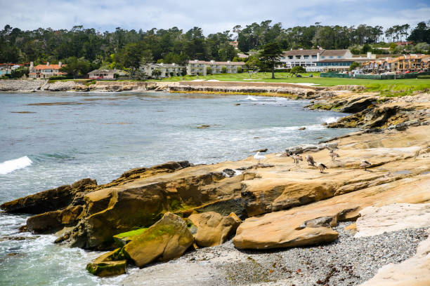 istock Pebble Beach Golf course views in California 1293681960