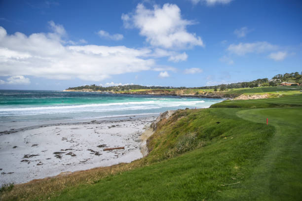 vista sul campo da golf di pebble beach in california - pebble beach california foto e immagini stock