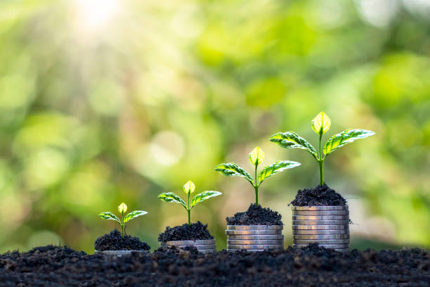 The growing tree on the coin represents the concept of business growth, money growth and saving money. The growing tree on the coin represents the concept of business growth, money growth and saving money. planting photos stock pictures, royalty-free photos & images