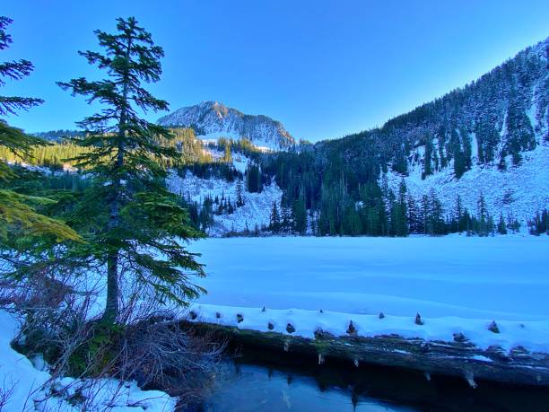 istock Wintery Scenes in the Cascades 1293685225