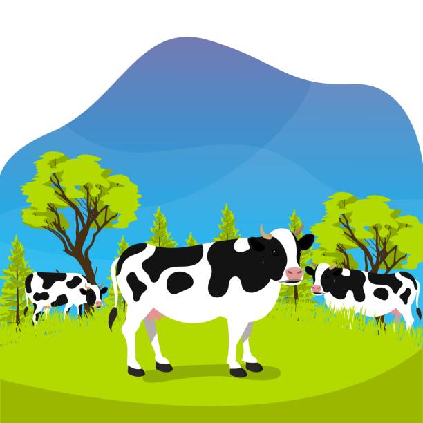 Group cow in farm meadow eat grass with flat cartoon style Group cow in farm meadow eat grass with flat cartoon style vector design illustration herd of cows stock illustrations