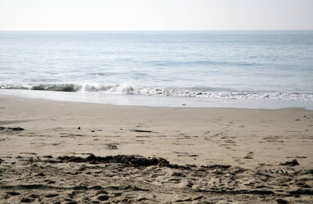 istock Incoming Waves at the O.C. 1293685647