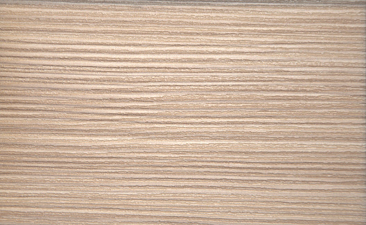The texture of natural light wood on a slice closeup. Background.