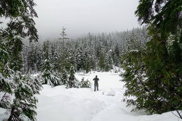 a man admiring the beautiful snowfall around a lake and forest while hiking during the winter in cypress mountain, british columbia, canada. - lone cypress tree imagens e fotografias de stock