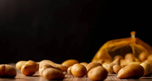 Shallow depth of field dark image of small irregular shaped ratte potatoes scattered on the surface of a wooden table from a tipped over mesh sack. An artistic versatile low light still life photo.