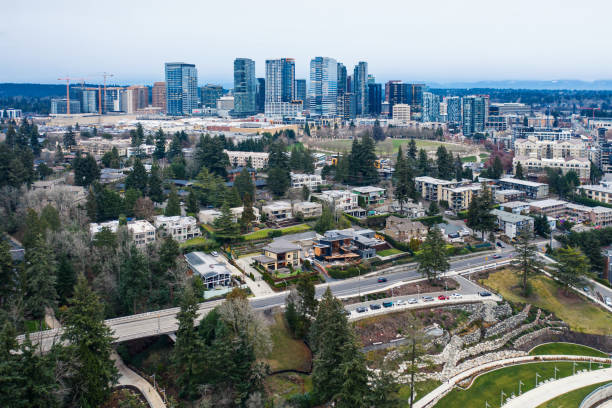 istock Aerial View of Downtown Bellevue 1293689346