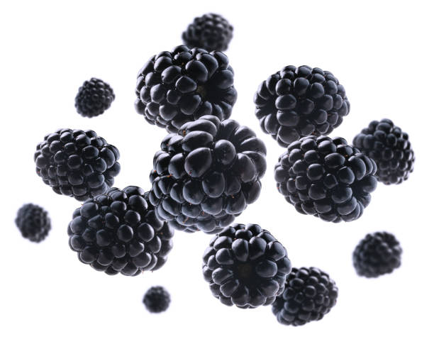 istock Ripe blackberries levitate on a white background 1293692209