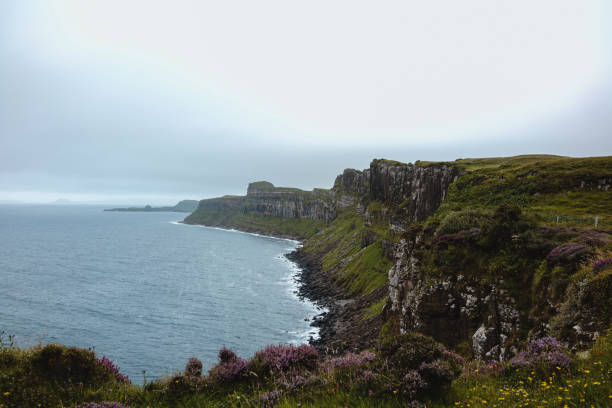 istock Coastline of isle of skye under cloudy sky 1293695341