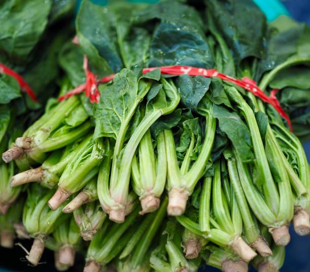 istock Korean Fresh organic vegetable spinach 1293697844