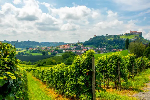 A sunlit vineyard overlooking the Austrian town of Riegersburg on a sunny summer day.