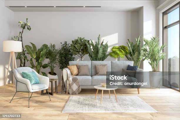 Modern Living Room Interior With Potted Plants Behind The Gray Colored Sofa And Armchair Stock Photo - Download Image Now