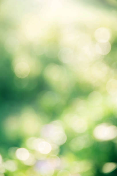 istock abstract green Christmas bokeh background 1293705770