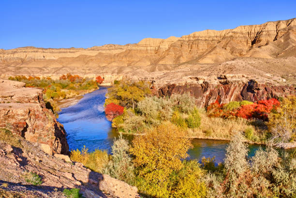 istock Golden Fall Charyn River Rocks Autumn 1293705838