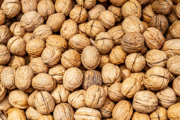 istock pile of unshelled nuts 1293705898