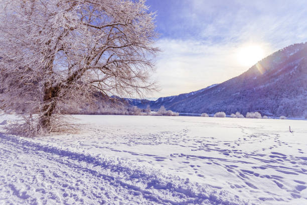 istock Sunny winter landscape in the alps: Mountain range, snowy trees and fields 1293711031