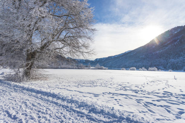 istock Sunny winter landscape in the alps: Mountain range, snowy trees and fields 1293711128