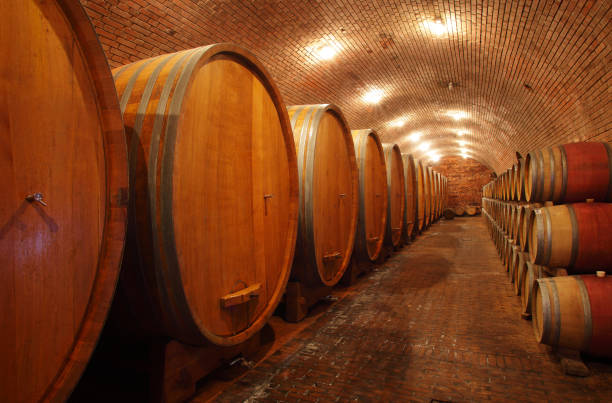 istock Wine barrels in wine-vaults in order 1293713427