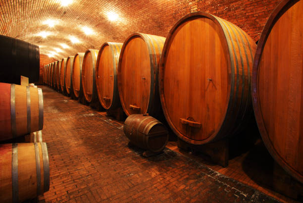 istock Wine barrels in wine-vaults in order 1293713482