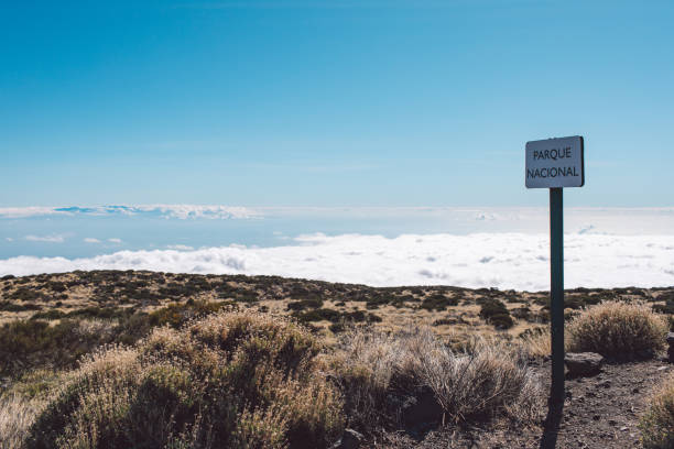 istock Road Sign On Landscape Against Sky 1293714693