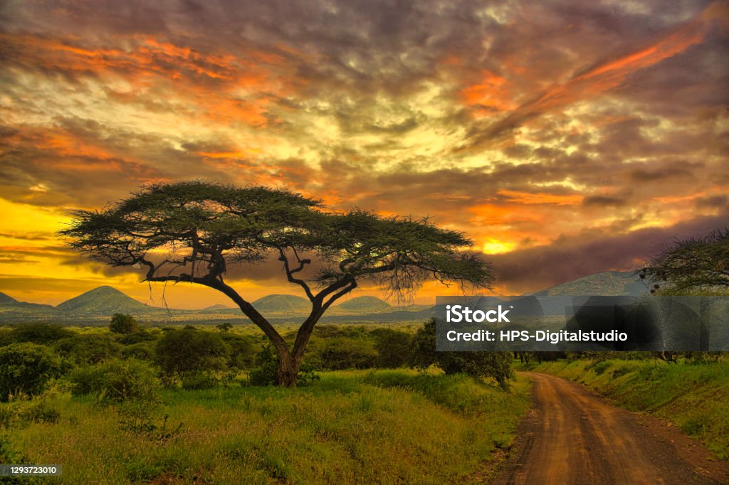 Sunset and sunrise in tsavo east Tsavo West and Amboseli National Park Sunset and sunrise in Tsavo East National Park Tsavo West and Amboseli Kenya Stock Photo