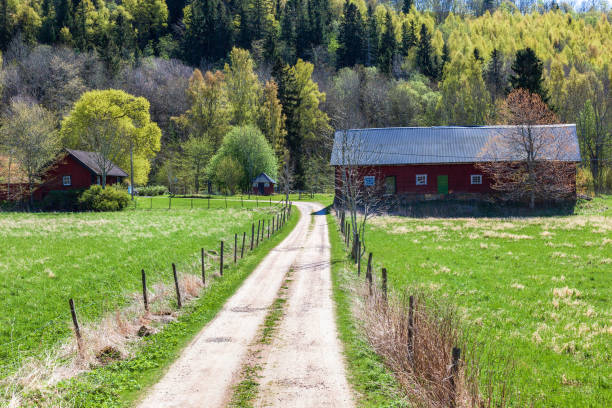 Farm in the countryside at spring