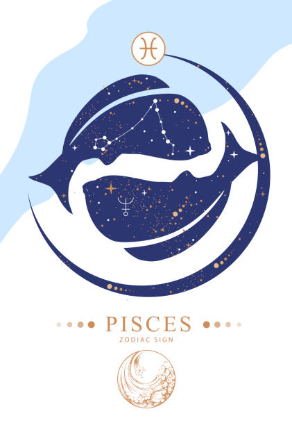 ilustraciones, imágenes clip art, dibujos animados e iconos de stock de carta de brujería mágica moderna con signo del zodiaco de piscis de astrología. característica del zodíaco - animal planet sea life