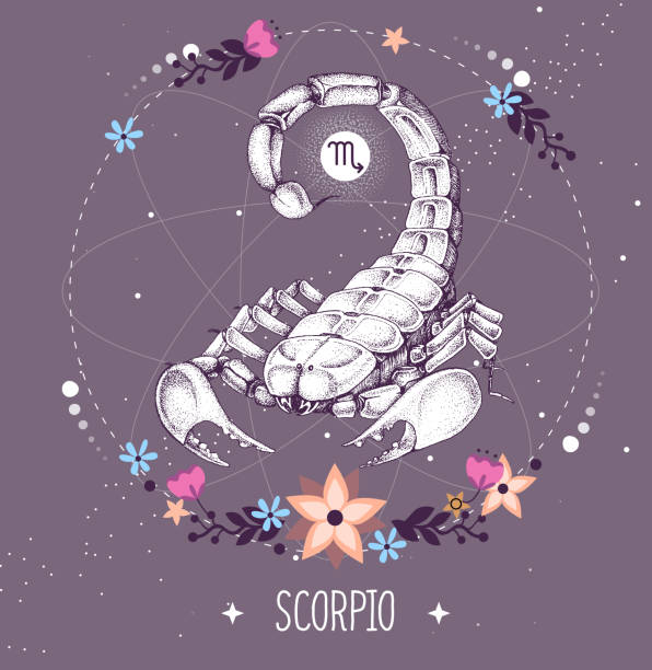moderne magische hexerei karte mit astrologie skorpion tierkreiszeichen. - skorpion spinnentier stock-grafiken, -clipart, -cartoons und -symbole