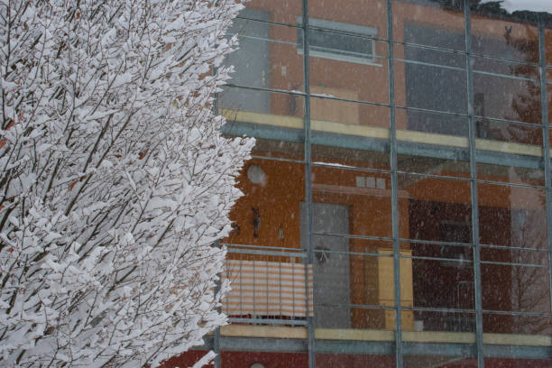 thermal insulation in modern building in winter, snow fall and snow covered tree
