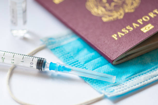 istock Syringe with needle, vial, surgical face mask and passport or visa 1293725709