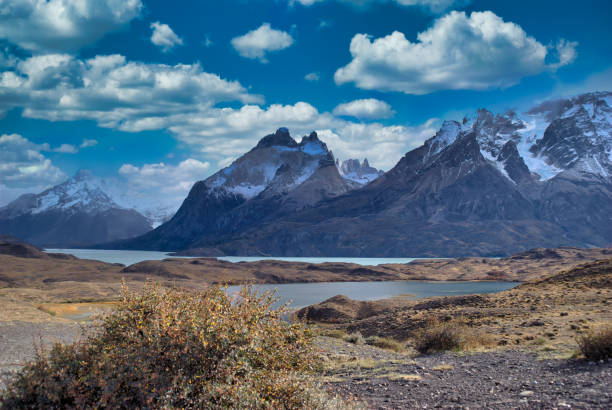 istock Torres Del Paine National Park, Chile. 1293727387