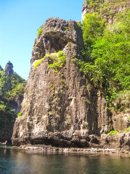 istock Phi Islands in the Andaman Sea, Thailand 1293731242
