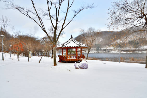 Winter season at Russian city Yaroslavl. Pine branches with needles covered by frost on foreground. Gazebo and snow-covered slope of the embankment on background. Focus on foreground pine needles.