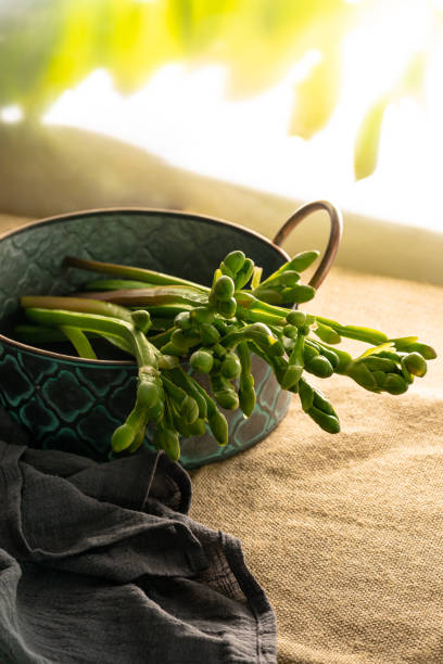 green vegetable ingredients lime garlic onion on vintage sunny day light background setup - lime market vietnam fruit imagens e fotografias de stock