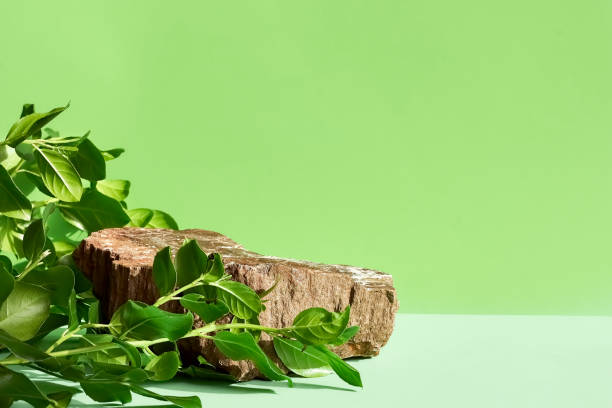 istock Natural stone podium display with leaf shadow. Product presentati on soft green background. Cosmetics or beauty product promotion minimalist mockup. 1293736939