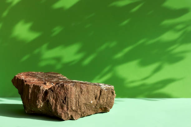 istock Natural stone podium display with leaf shadow. Product presentati on soft green background. Cosmetics or beauty product promotion minimalist mockup. 1293736993